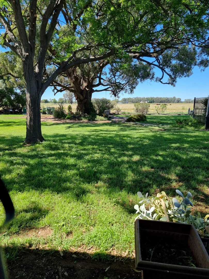 Image 18