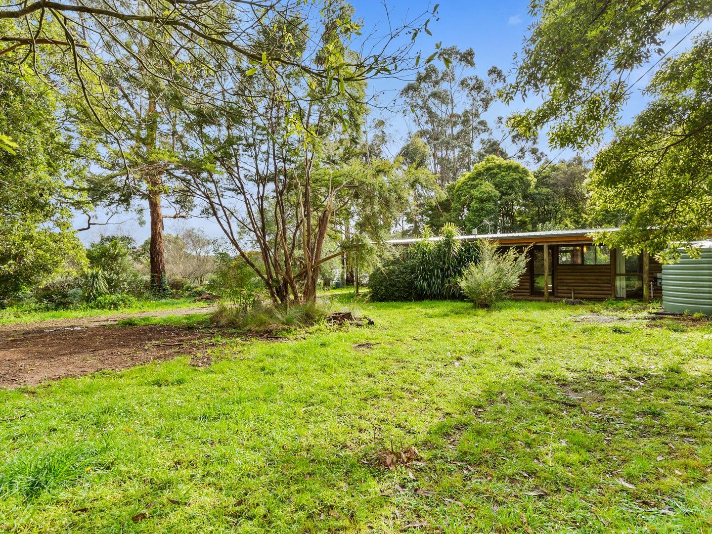 16 Frederick Street, Red Hill VIC 3937, Image 0