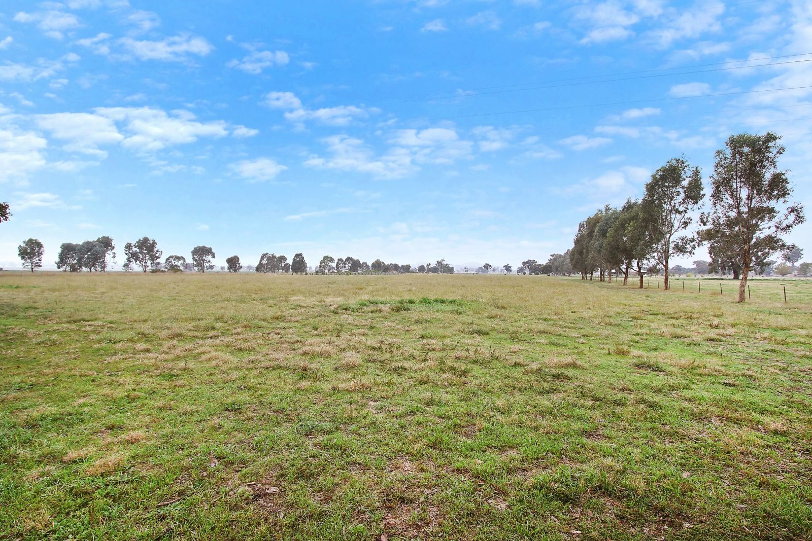3168 Olympic Highway, Culcairn NSW 2660, Image 1