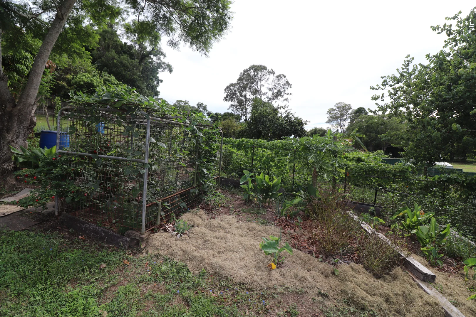 Additional image 25 of 55 Craig Street, East Kempsey NSW 2440