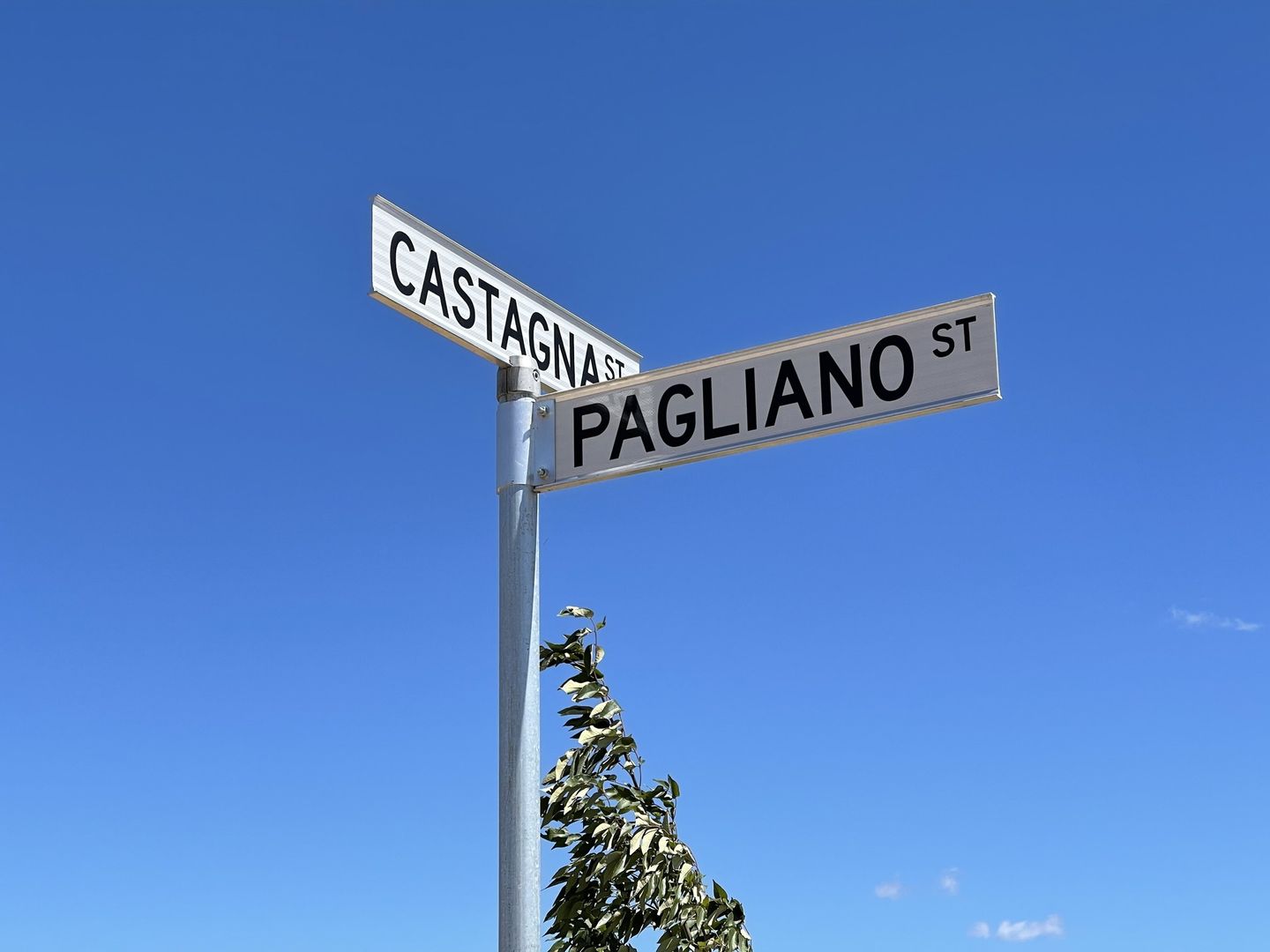 7 Castagna Street, Strathnairn ACT 2615, Image 2