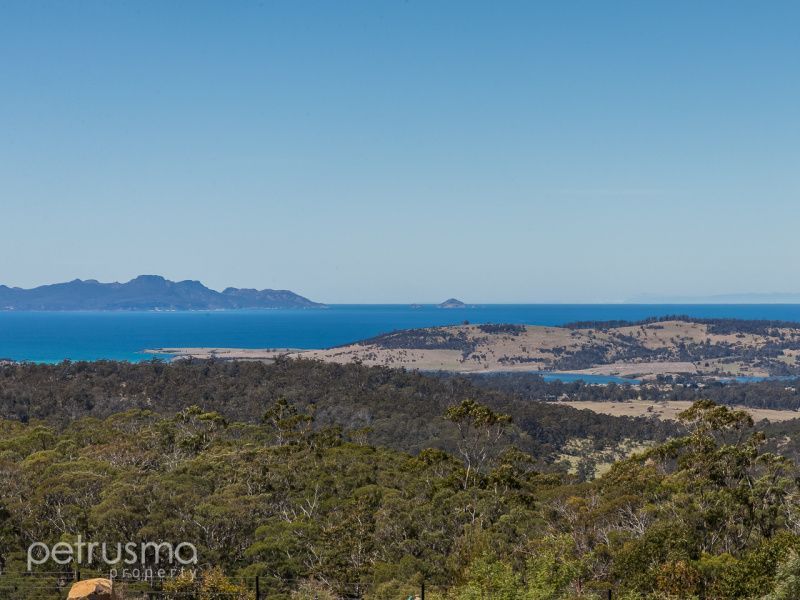 500 Bresnehans Road, Little Swanport TAS 7190, Image 1