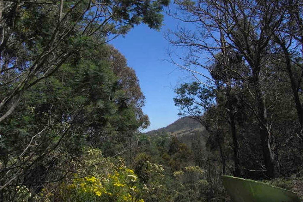 971 Back River Road, Magra TAS 7140, Image 0