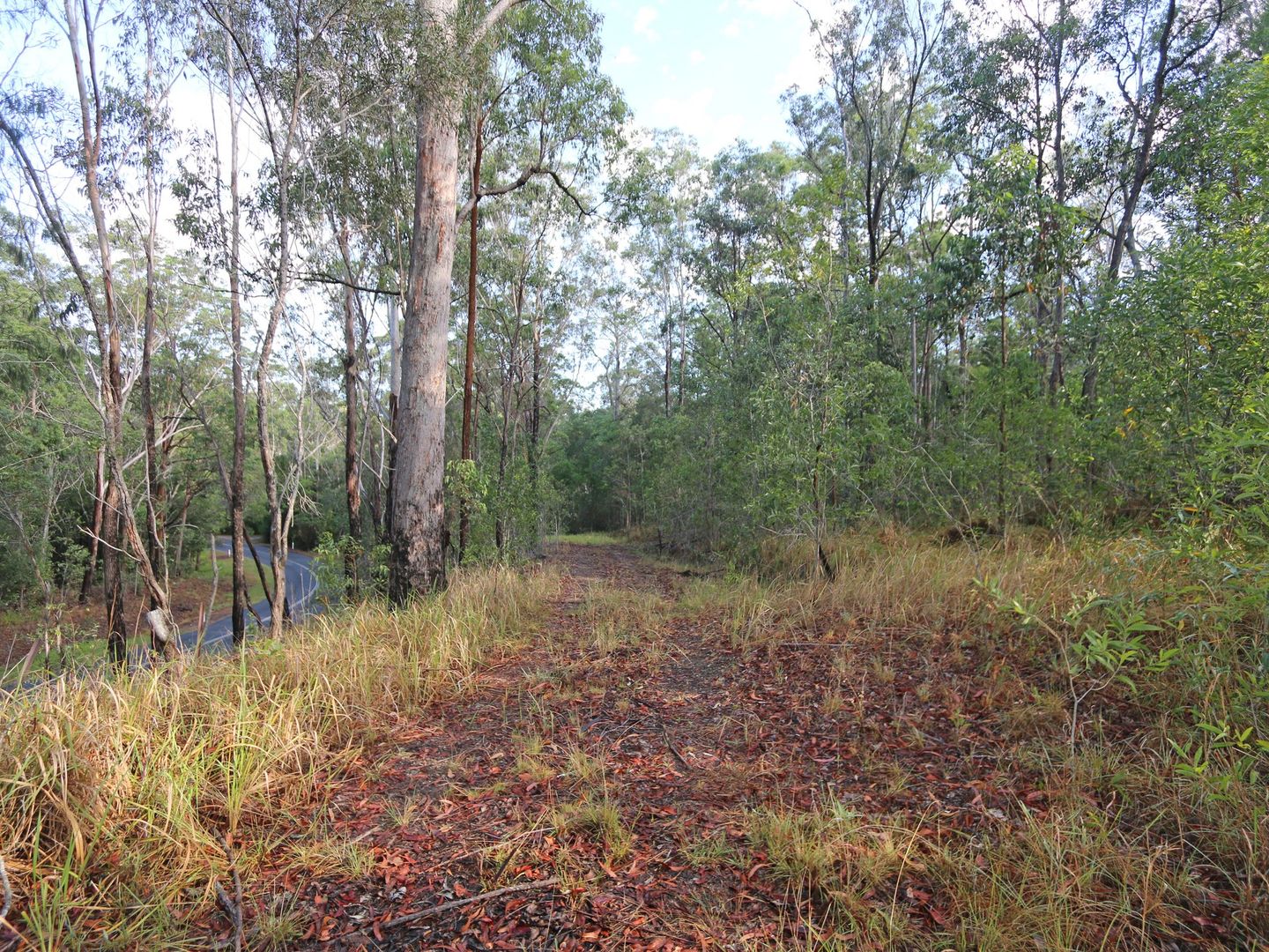 Lot 68 Ashby-Tullymorgan Road, Ashby NSW 2463, Image 1
