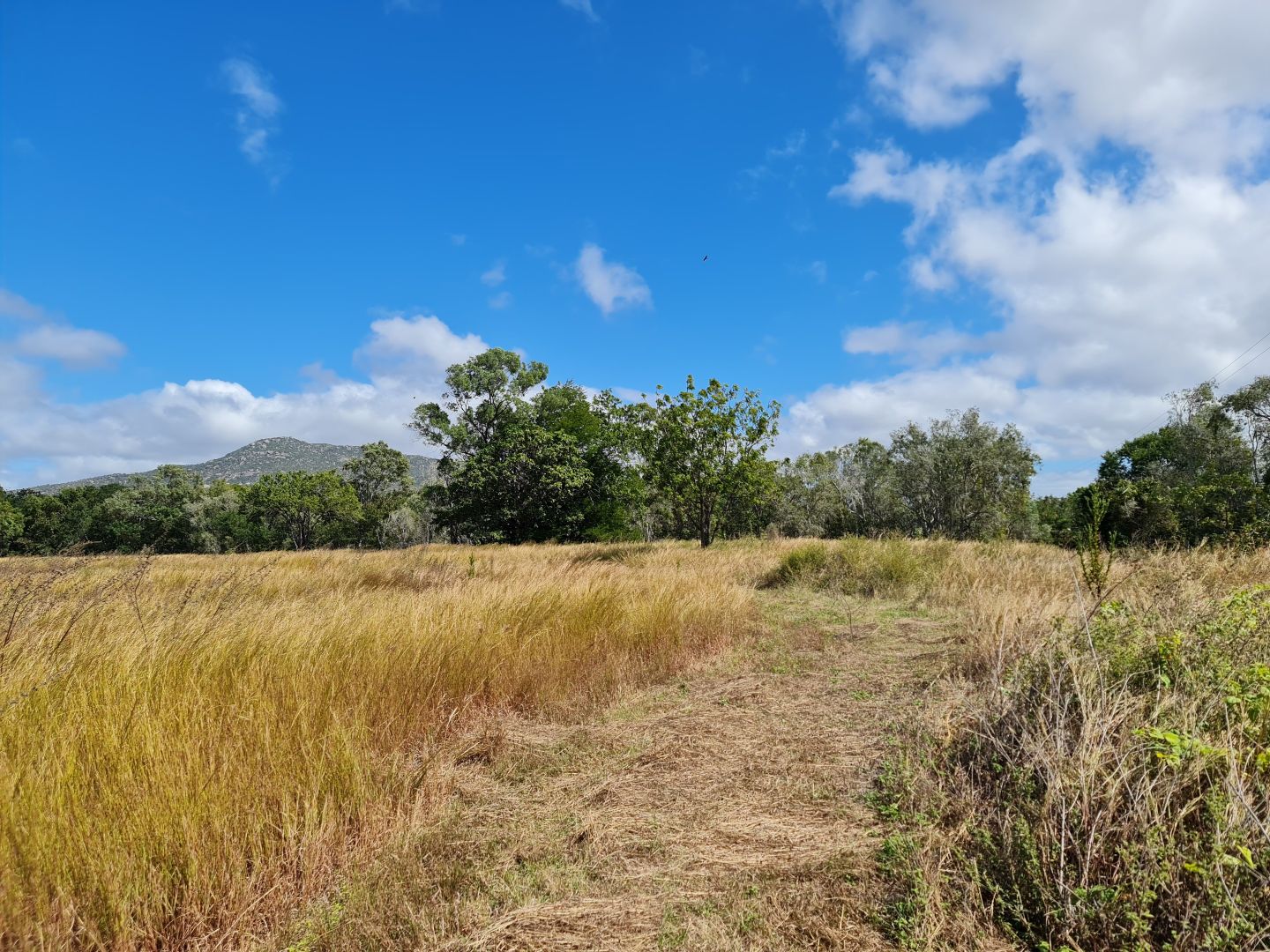 6835 Mulligan Highway, Mount Carbine QLD 4871, Image 2