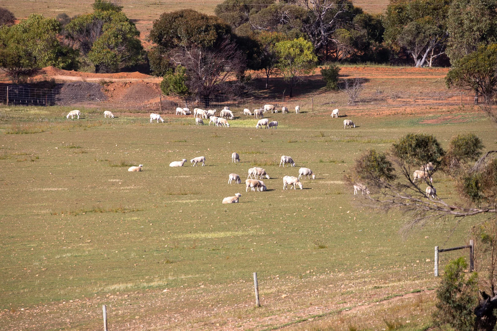 Image 11