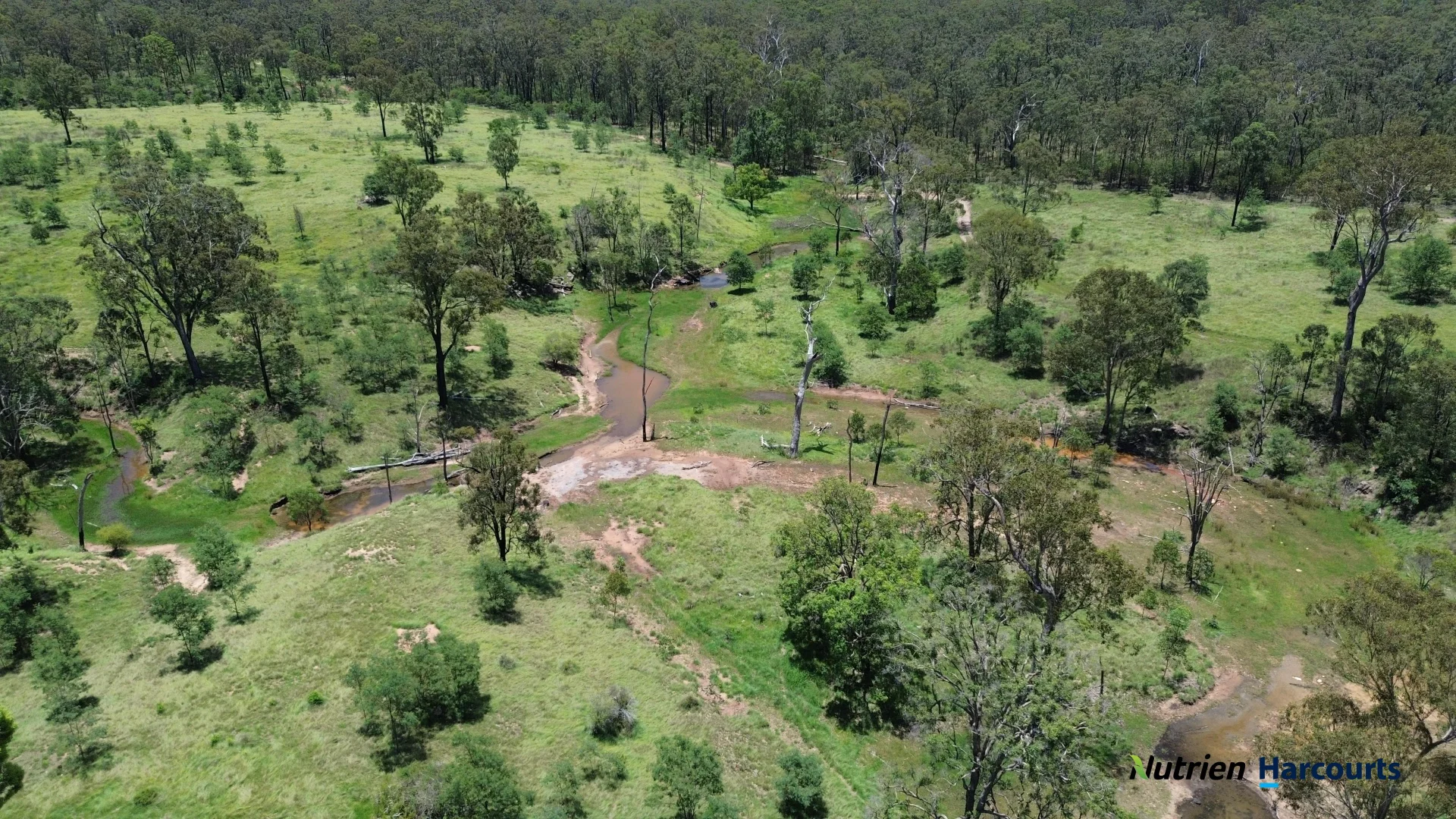 Image 13