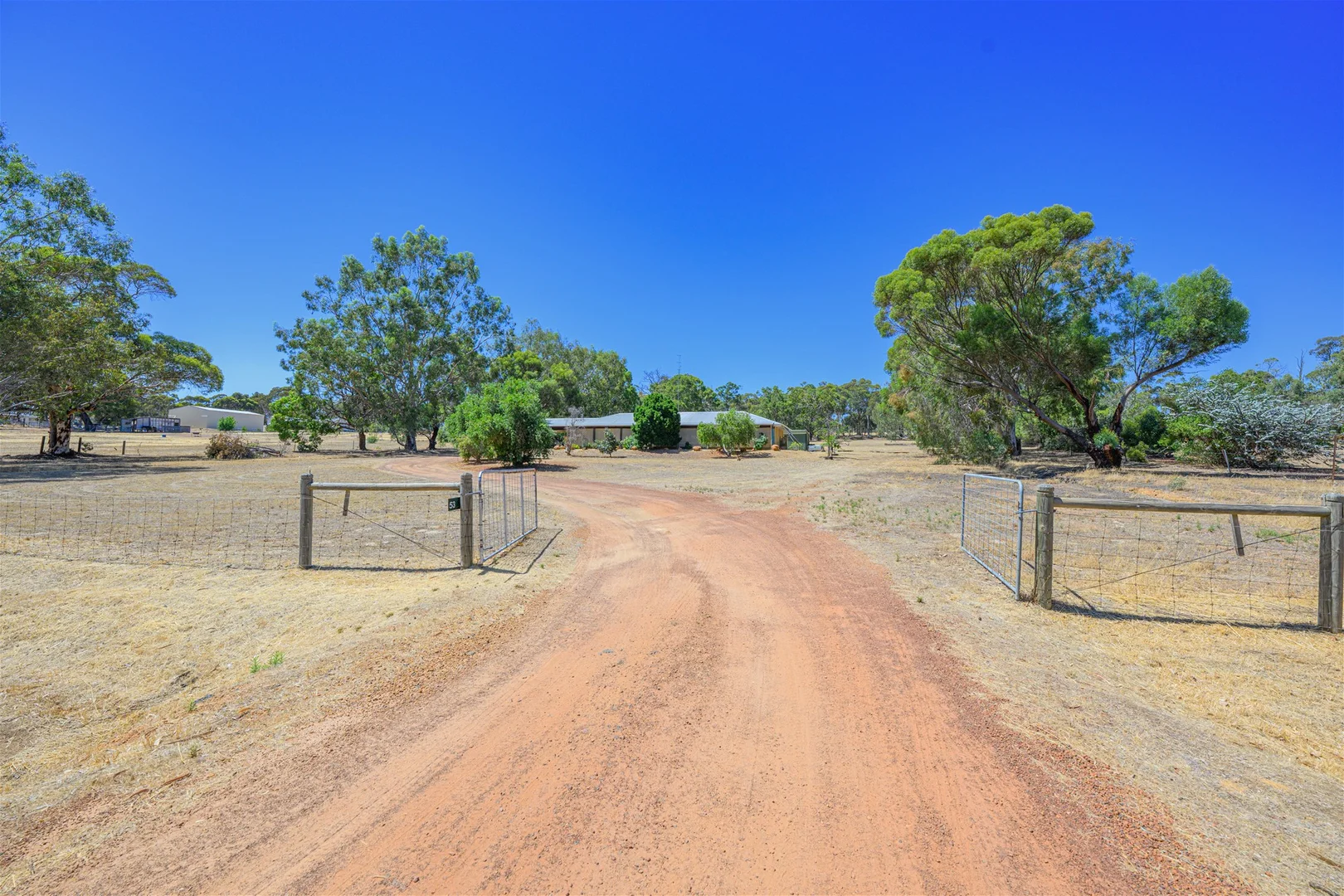 Image 20