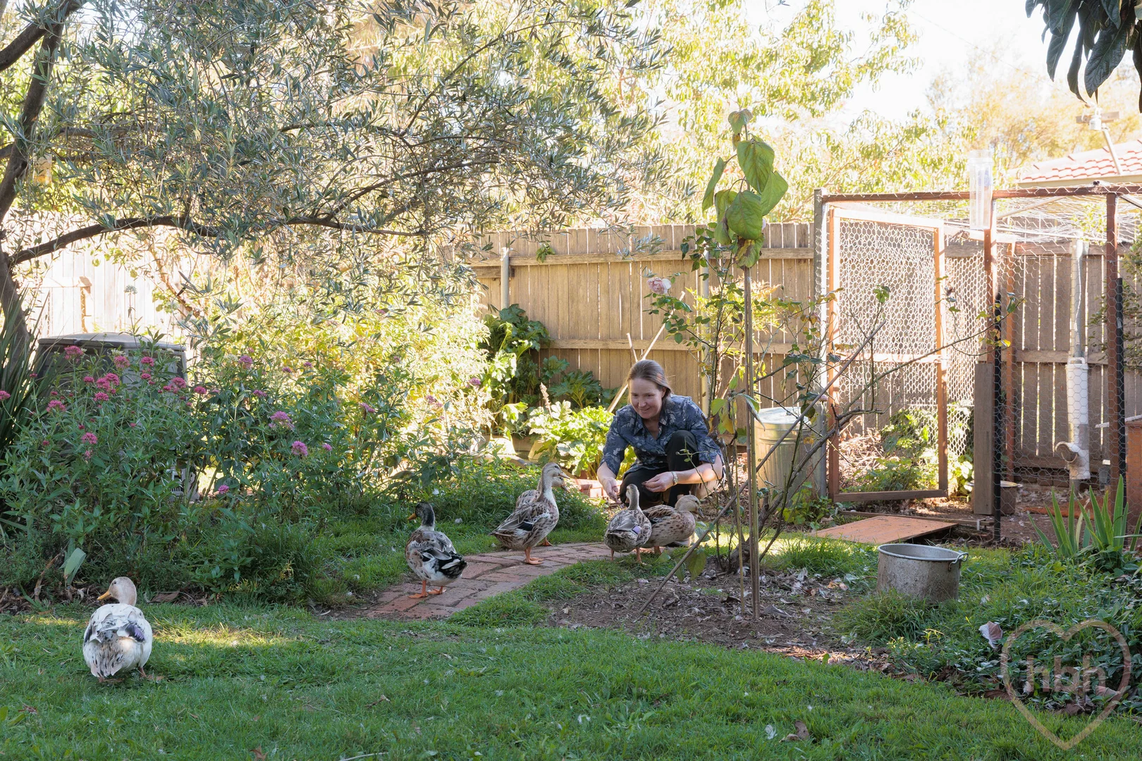 Additional image 24 of 6 Dobbie Place, Watson ACT 2602