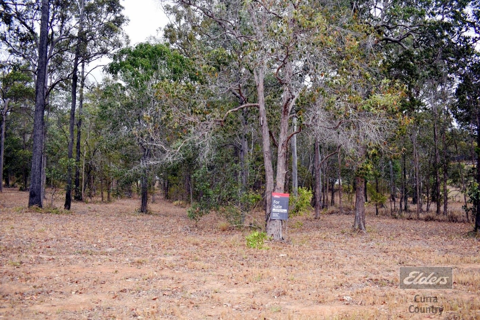 Lot 20 Martyn Road, Bauple QLD 4650, Image 0