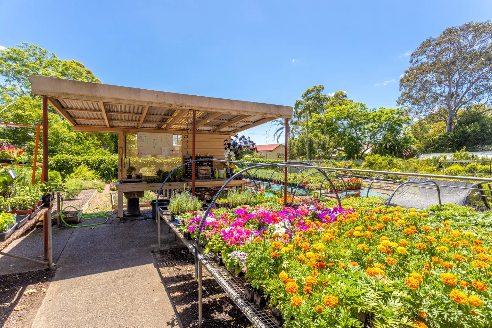 Additional image 5 of 1-5 William Street, Wingham NSW 2429