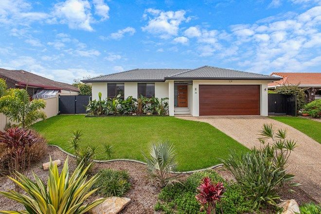 Picture of 26 Treeview Drive, BURLEIGH WATERS QLD 4220