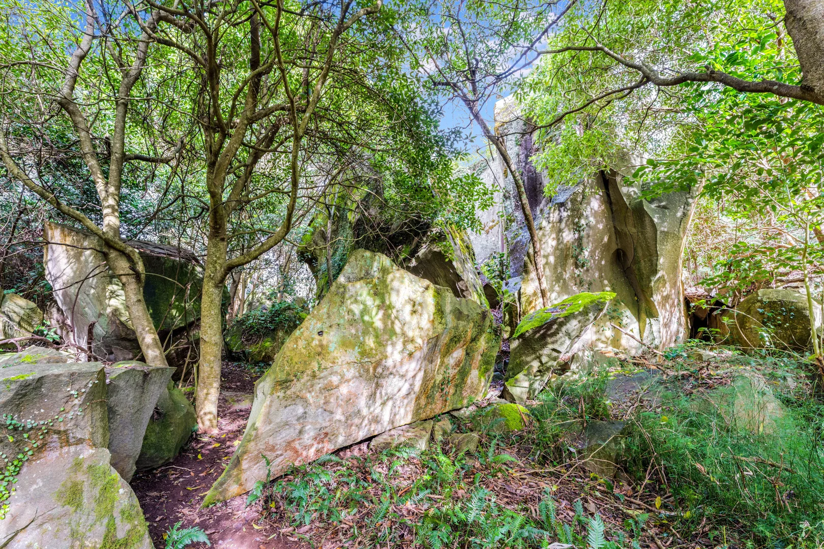 Image 24