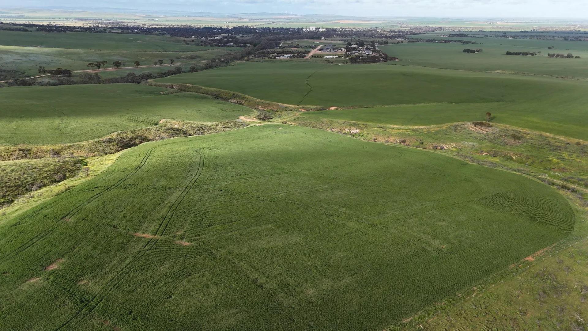 Additional image 15 of 'Crystal Valley' Talbots Road, Crystal Brook SA 5523