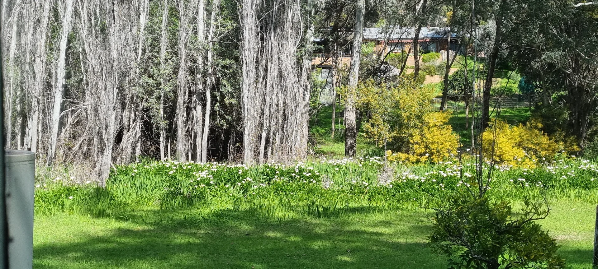 Additional image 11 of 16 Harold St, Glen Forrest WA 6071