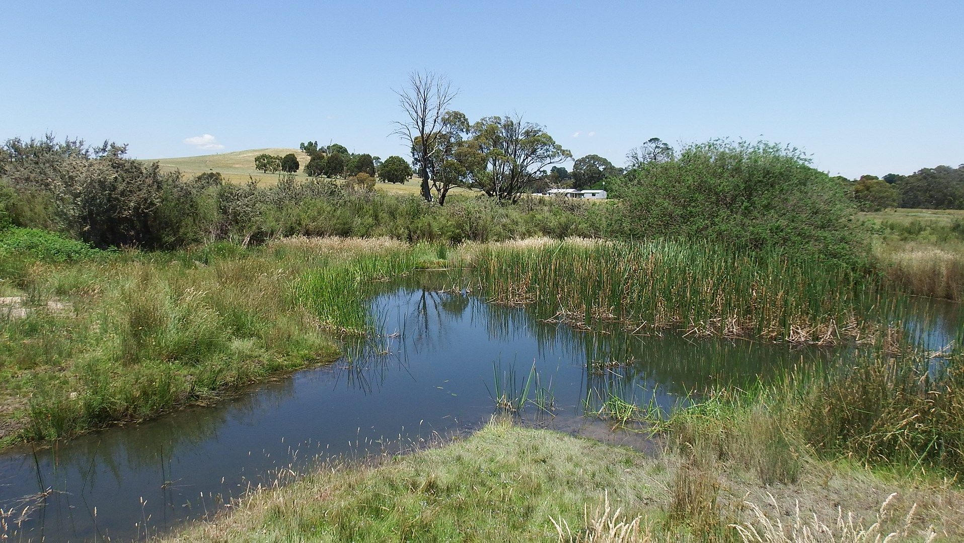 402 Spring Creek Road, Strathbogie VIC 3666, Image 0