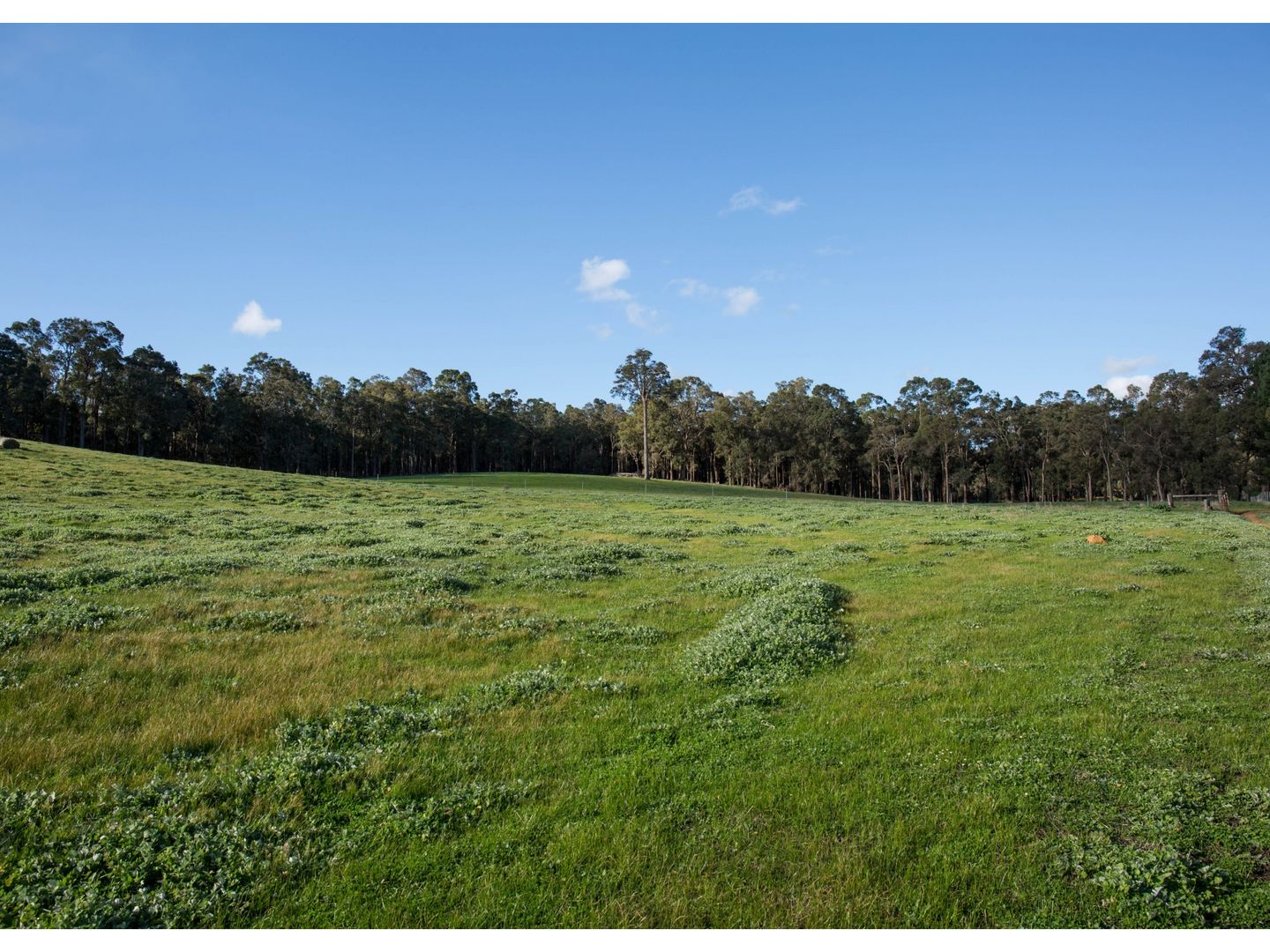 WL2638 Worsley Back Road, Allanson WA 6225, Image 1