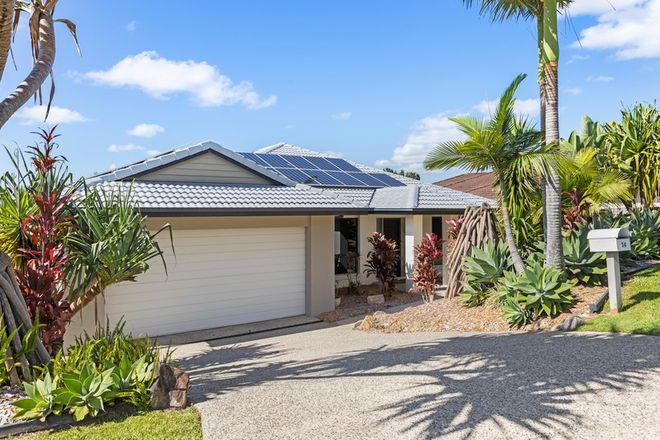 Picture of 34 Dayflower Street, UPPER COOMERA QLD 4209
