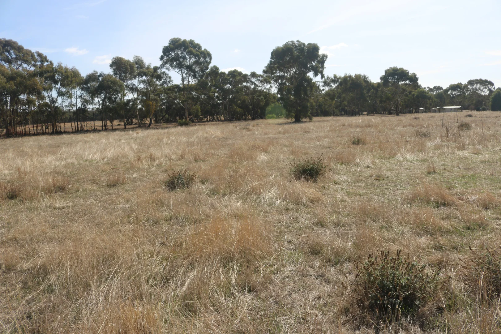 Additional image 9 of Old Boort Road, Woolshed Flat VIC 3518