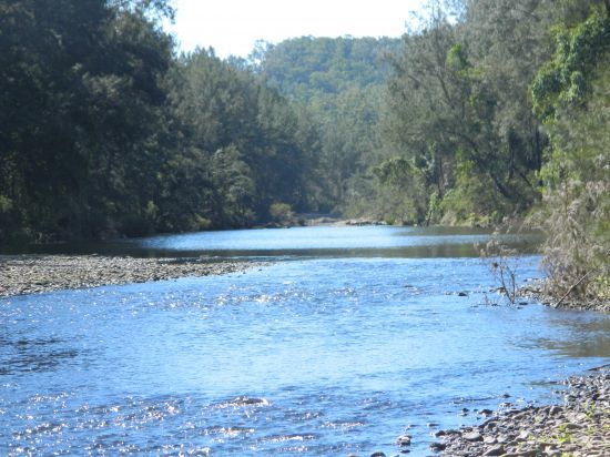 GUM SCRUB NSW 2441, Image 0