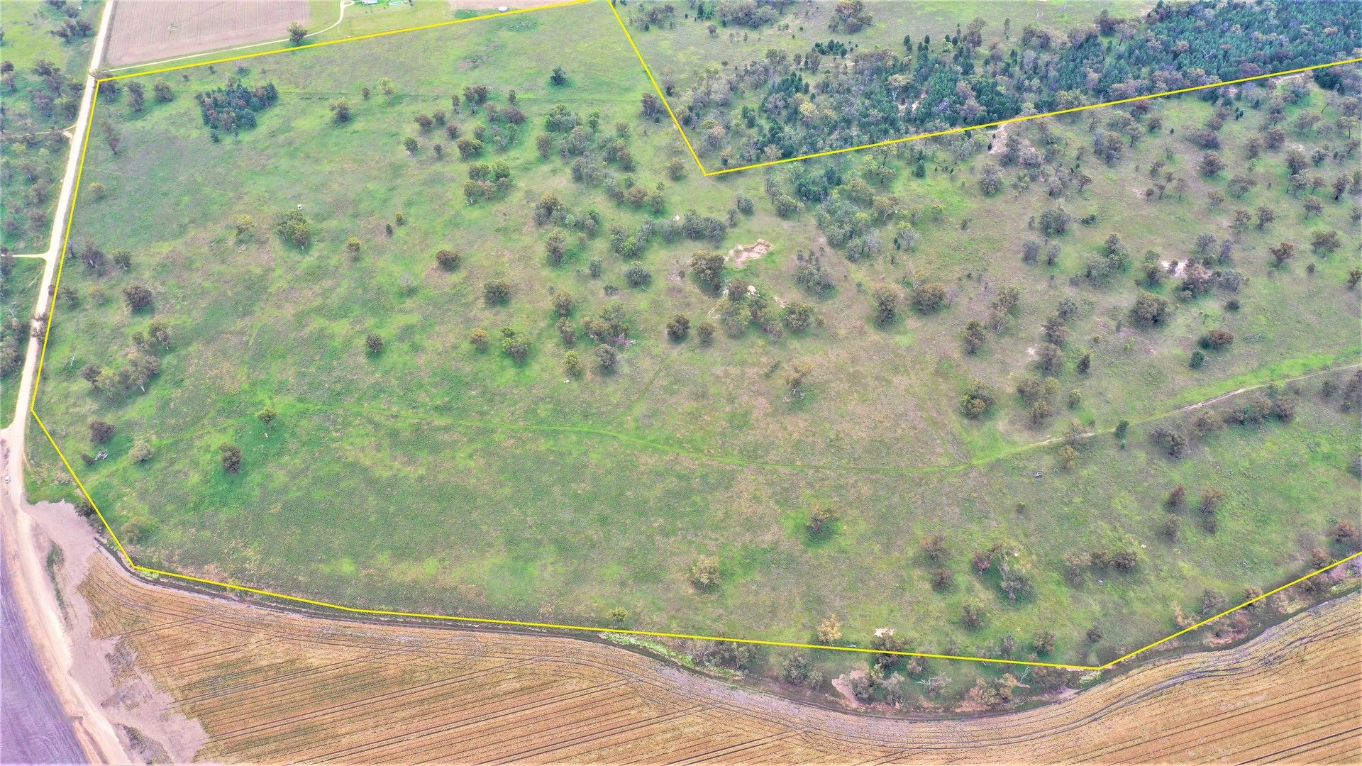 1682 Warrah Ridge Road, Quirindi NSW 2343, Image 0