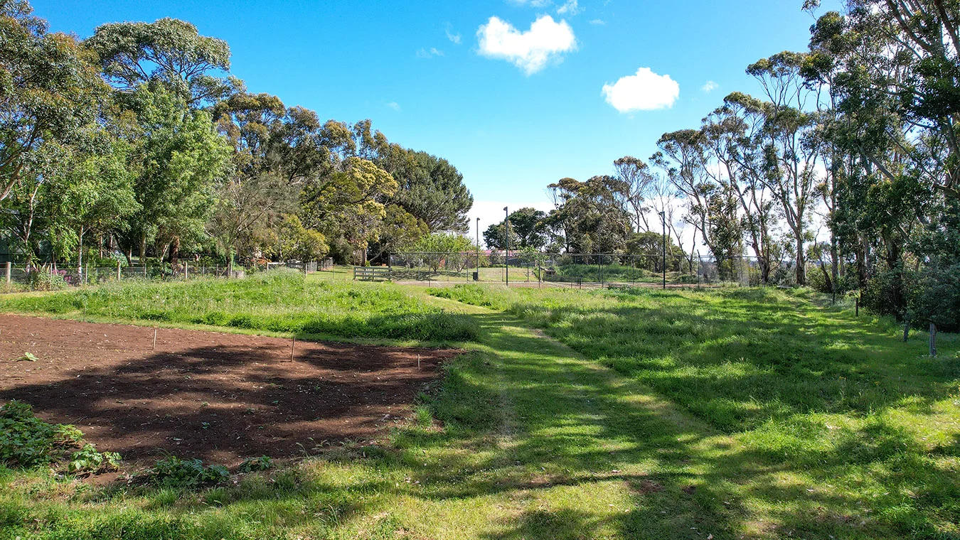 Image 9