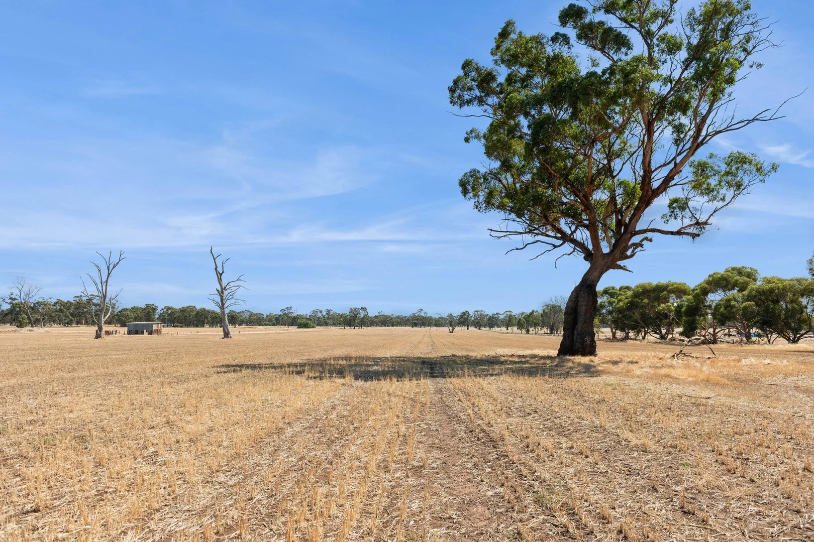 Additional image 9 of Lots 2&3 Whatleys Road, Goornong VIC 3557