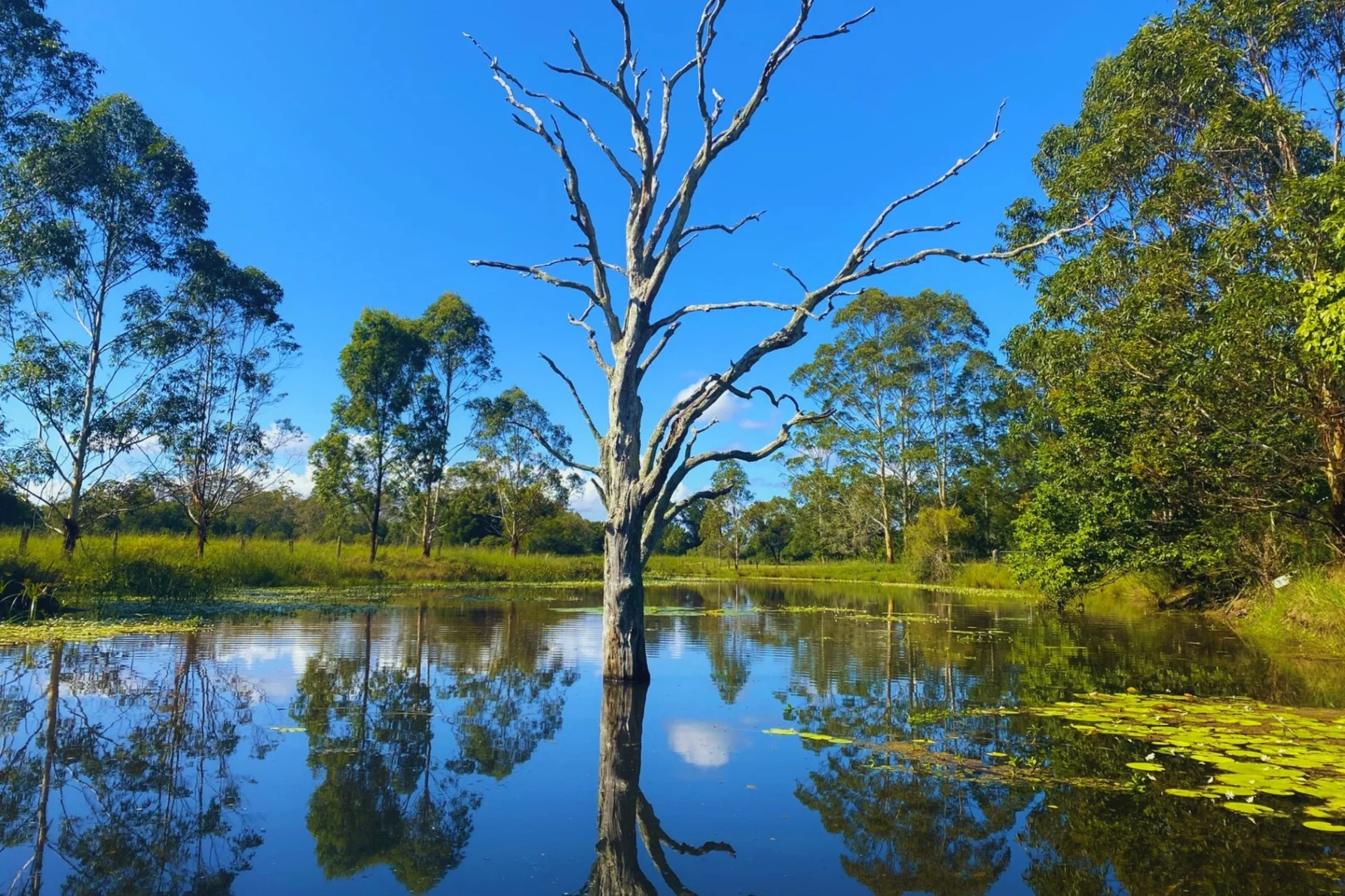 Additional image 13 of 84 Kings Creek Road, Krambach NSW 2429