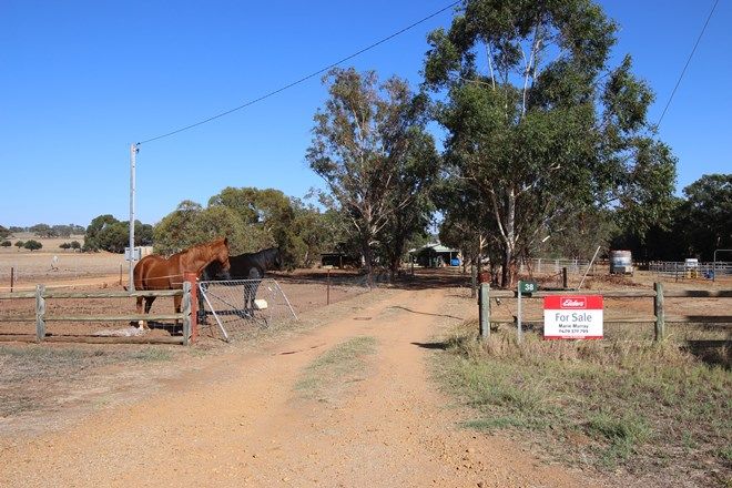 Picture of 38 KOORINGAL VALE, DANDARAGAN WA 6507