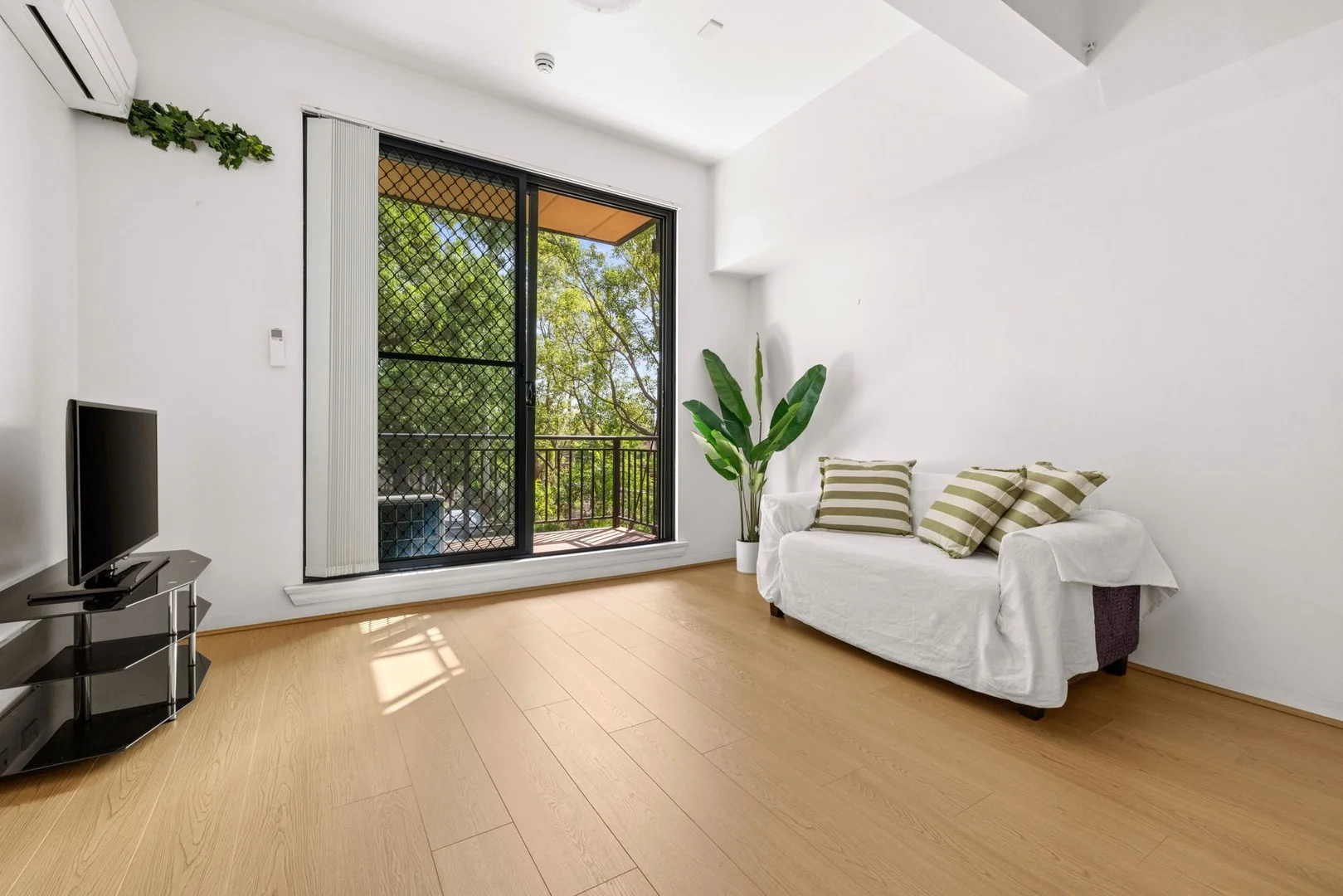 17/8-10 Cavill Avenue, Ashfield NSW 2131