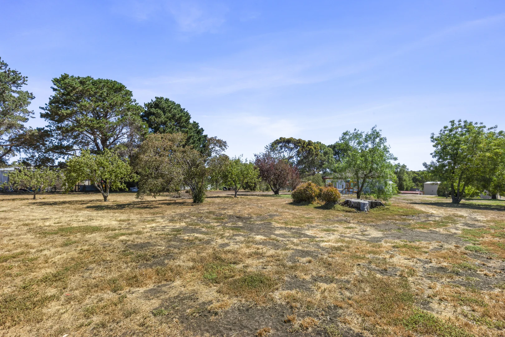 Image 15