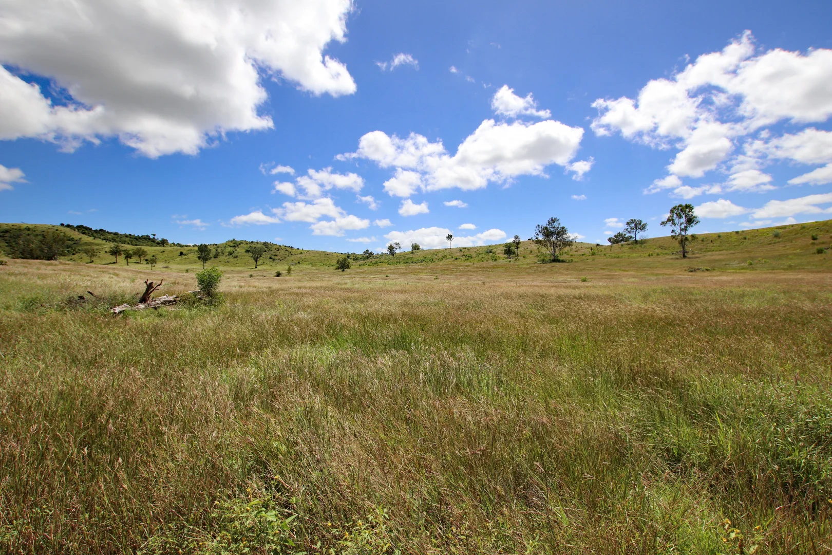 Additional image 16 of "Scrubview" Frawleys Road, Thangool QLD 4716