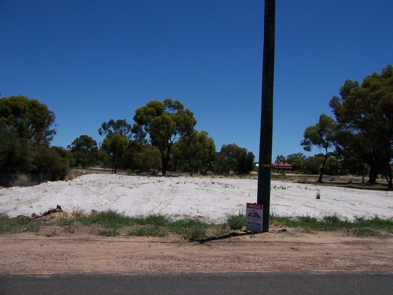 Lot 249 Ventnor Street, Wagin WA 6315, Image 0