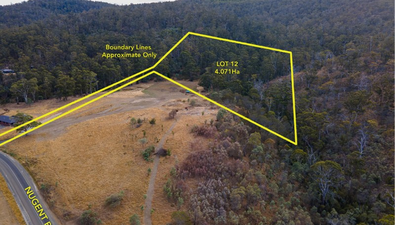 Picture of Lot 12/918 Nugent Rd, WATTLE HILL TAS 7172