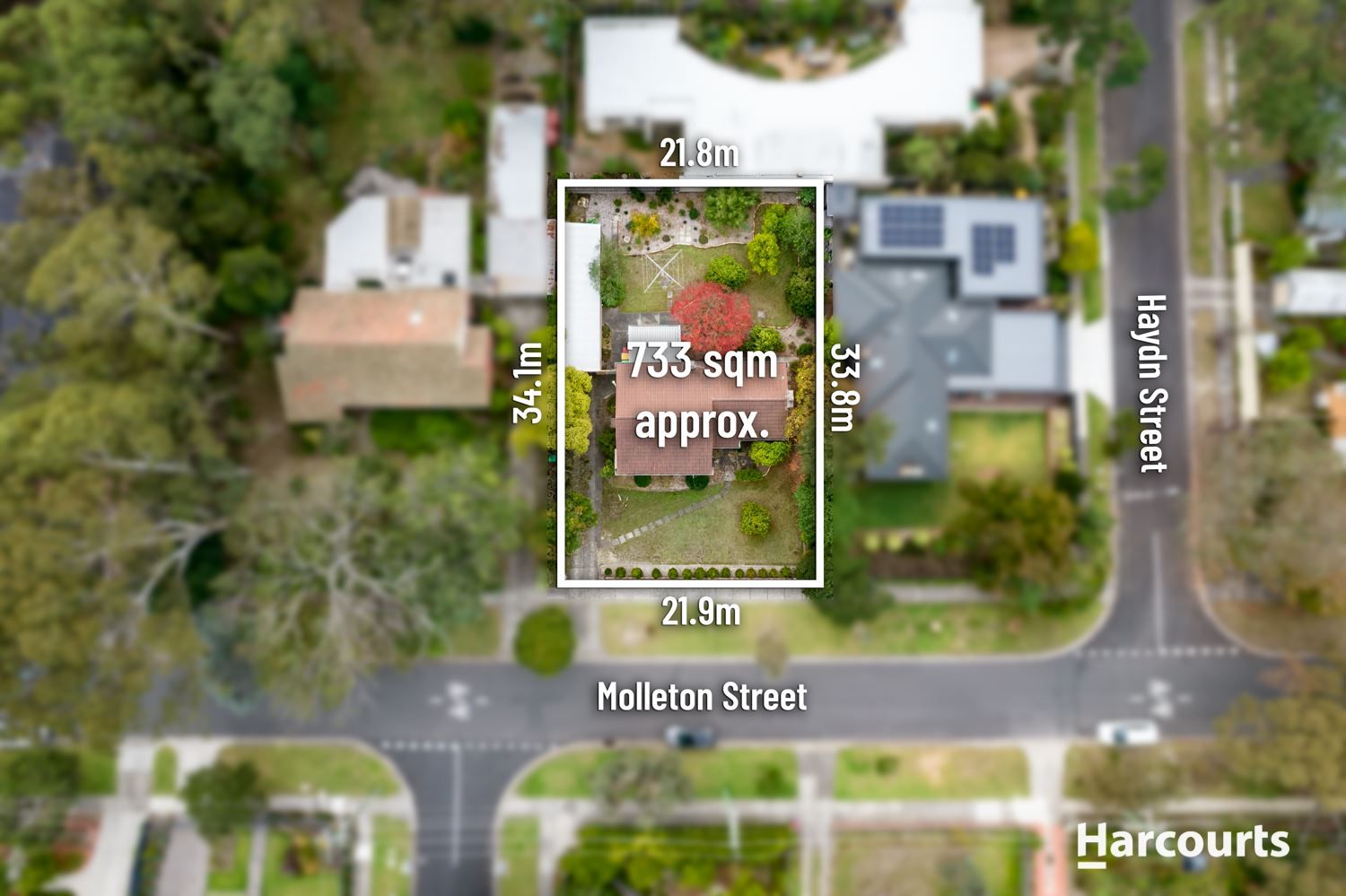 7 Molleton Street, Blackburn VIC 3130, Image 0