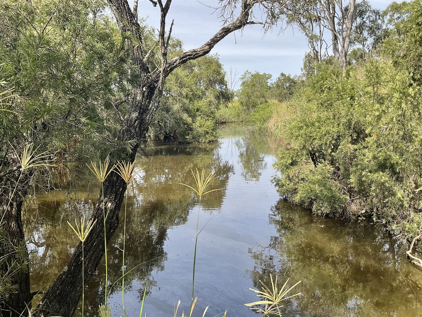 91 Beare Road, Maidenwell QLD 4615 Mixed Farming Property for Sale