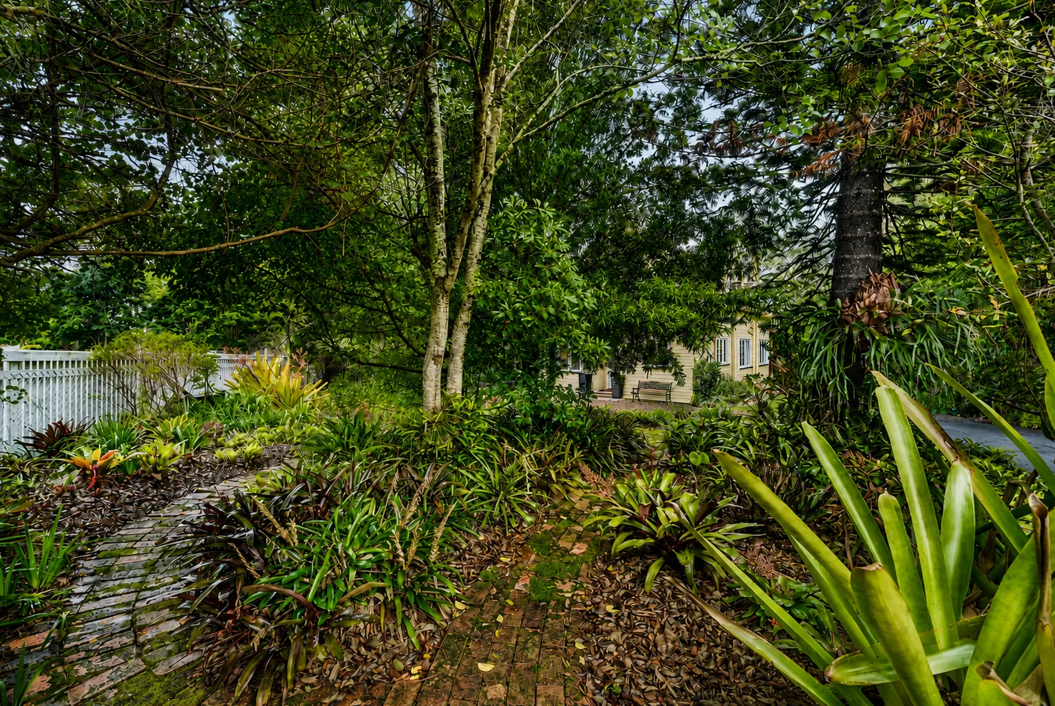 Image 29