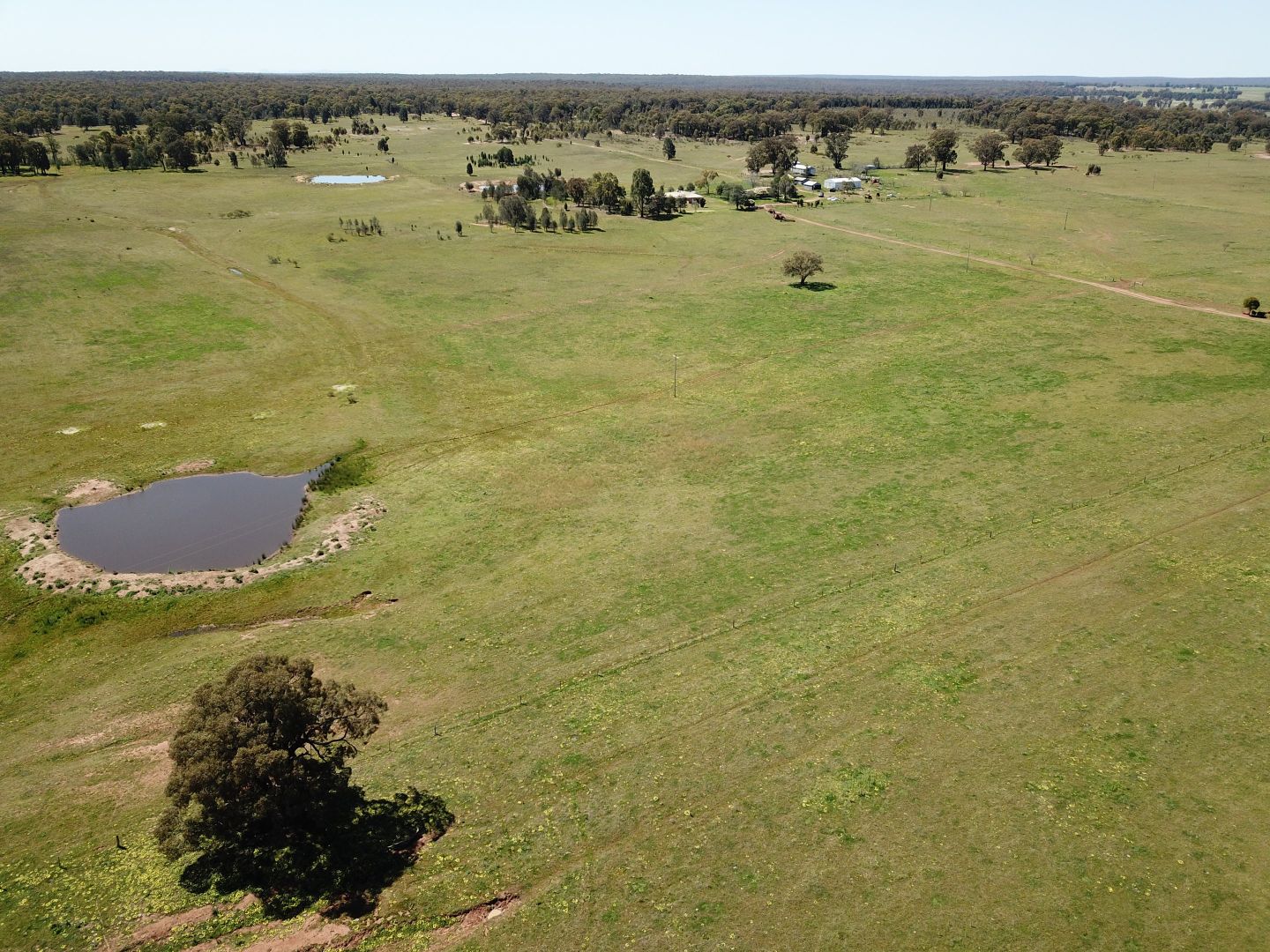 'Mirfield' 119L Mendooran Road, Dubbo NSW 2830, Image 1