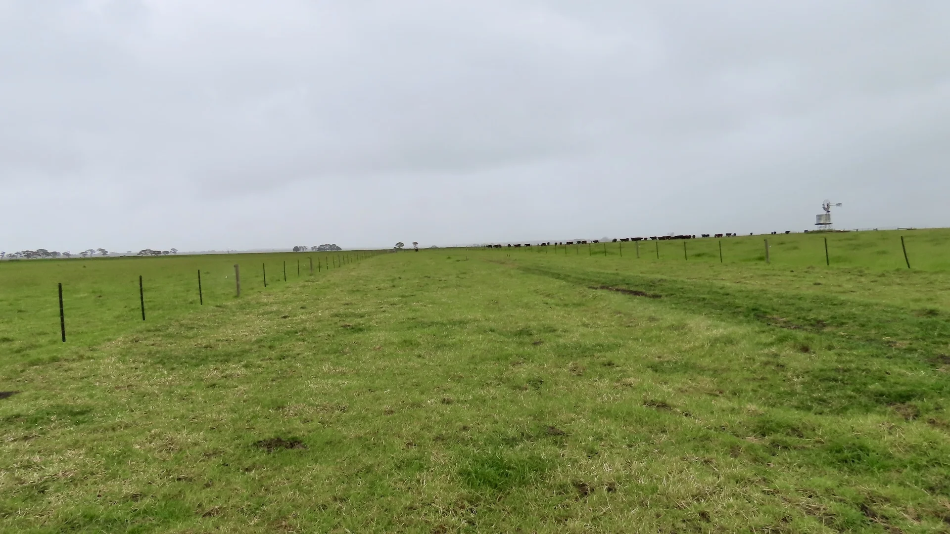 Image 17
