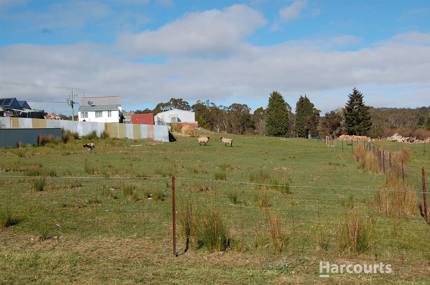 17 Shaw Street, Lefroy TAS 7252, Image 2