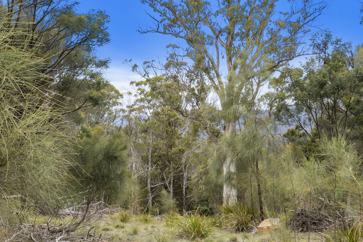 Additional image 10 of 4/194 Bresnehans Road, Little Swanport TAS 7190