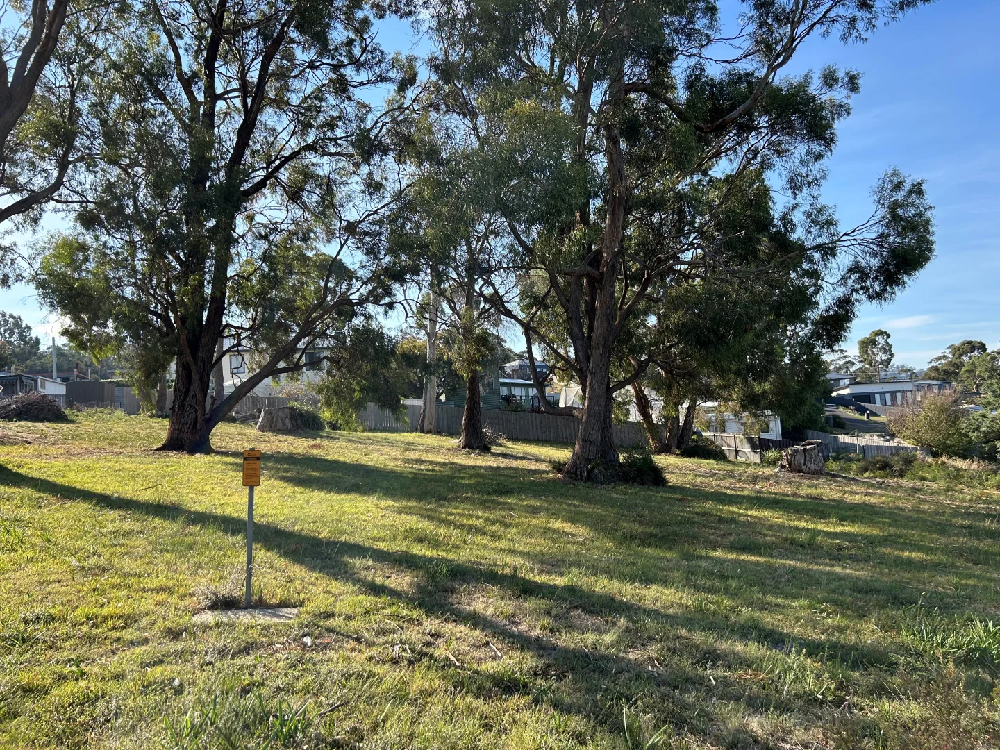 Image 15