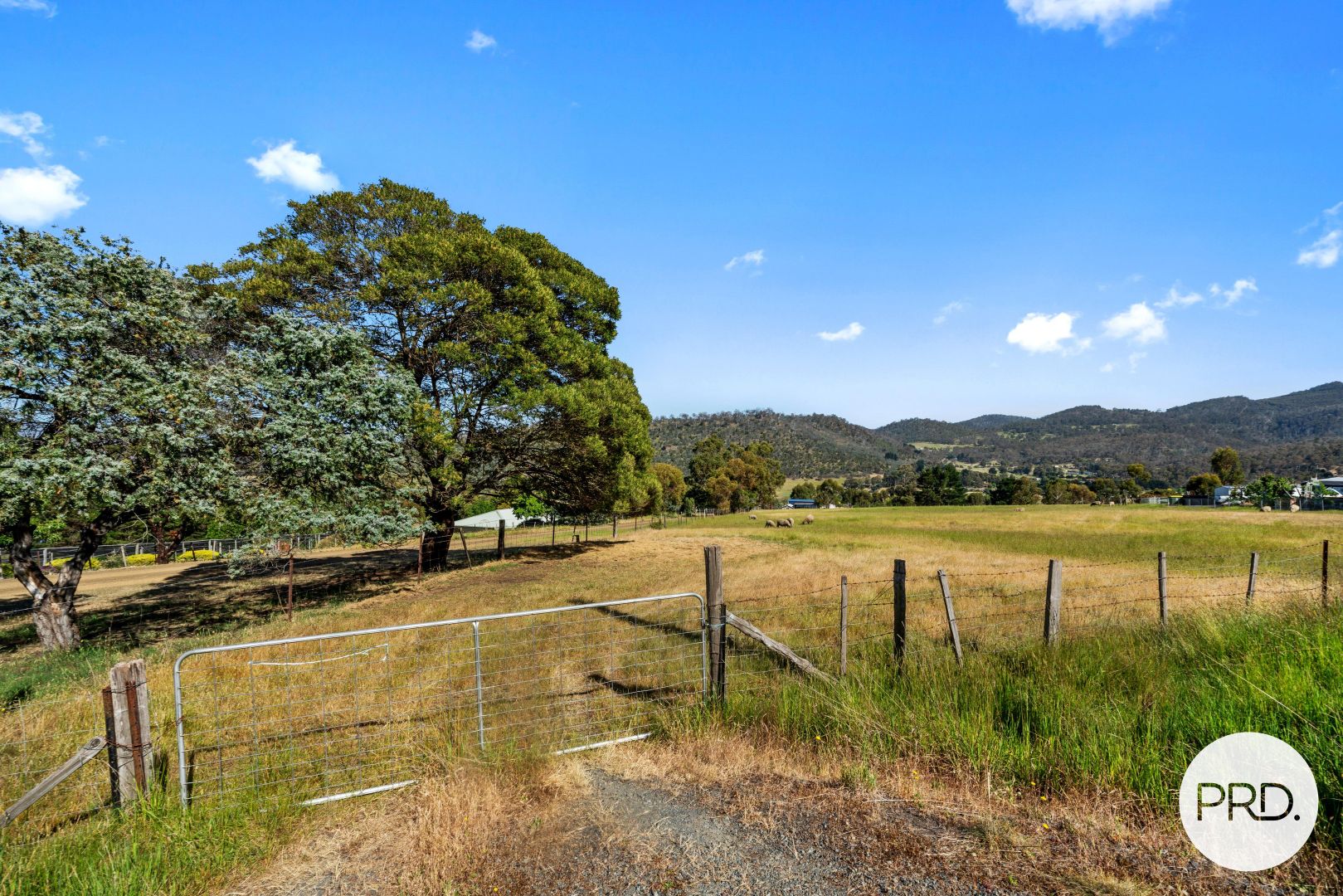 141 Saddle Road, Magra TAS 7140, Image 2