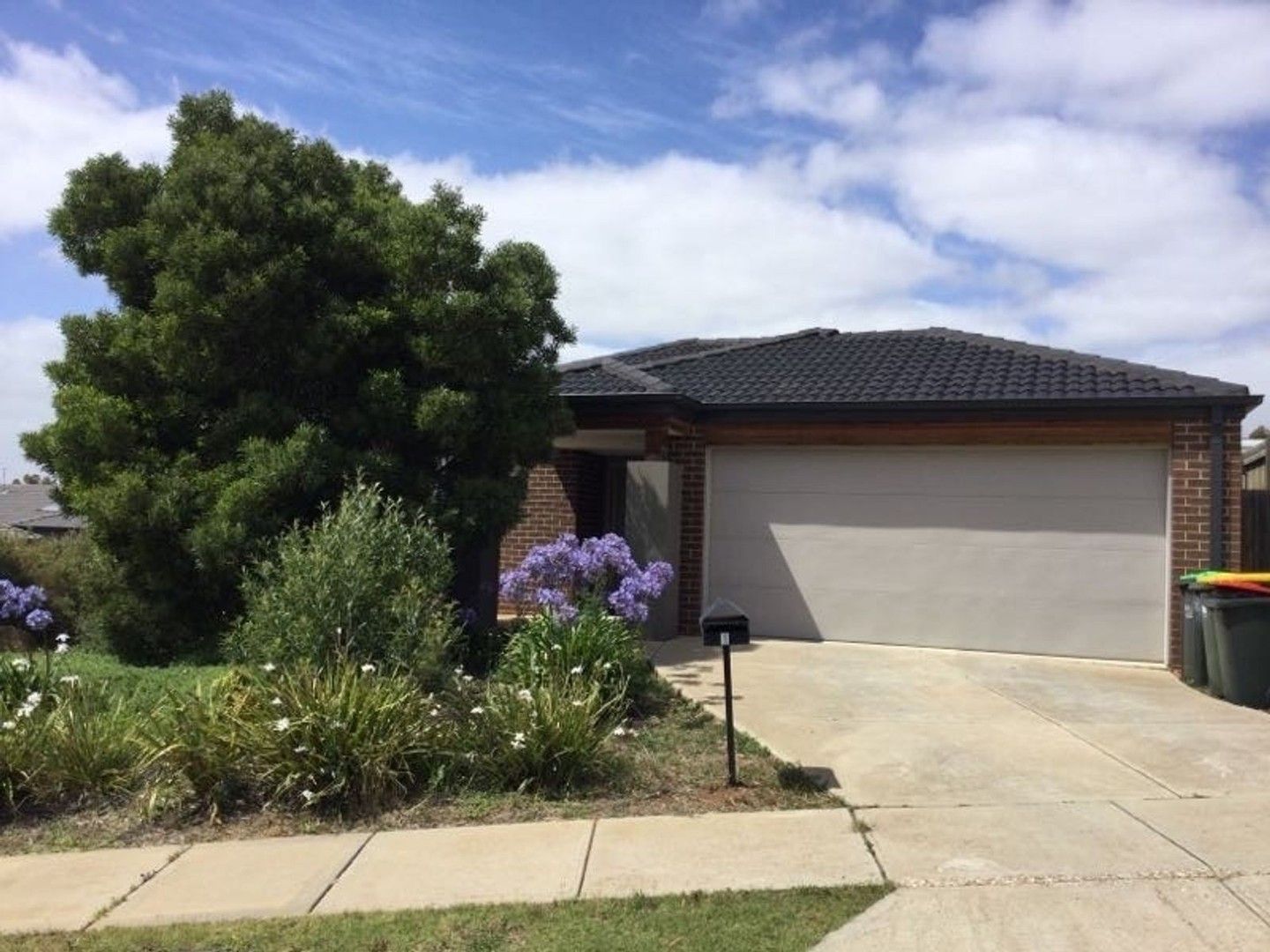 1 Chicory Drive, Bacchus Marsh VIC 3340 House For Rent Domain