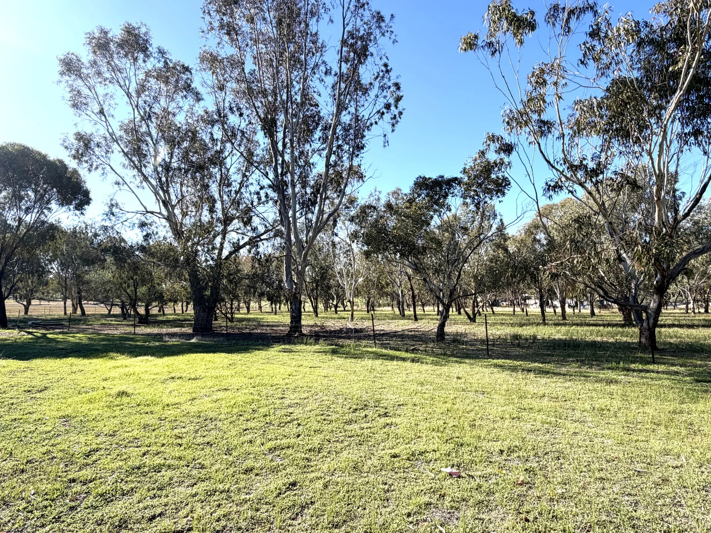 Image 19