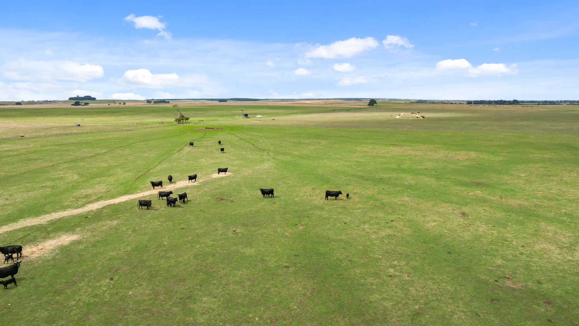 Additional image 6 of 603 Blackfellows Caves Road, Kongorong SA 5291