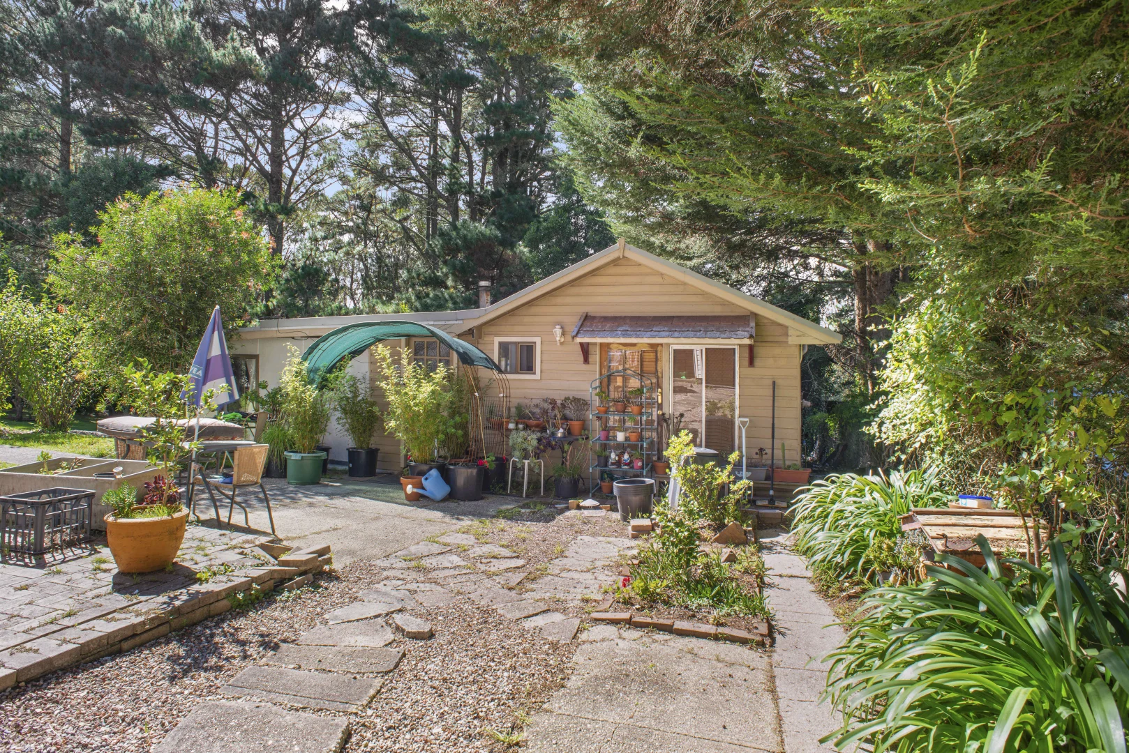 Image 6