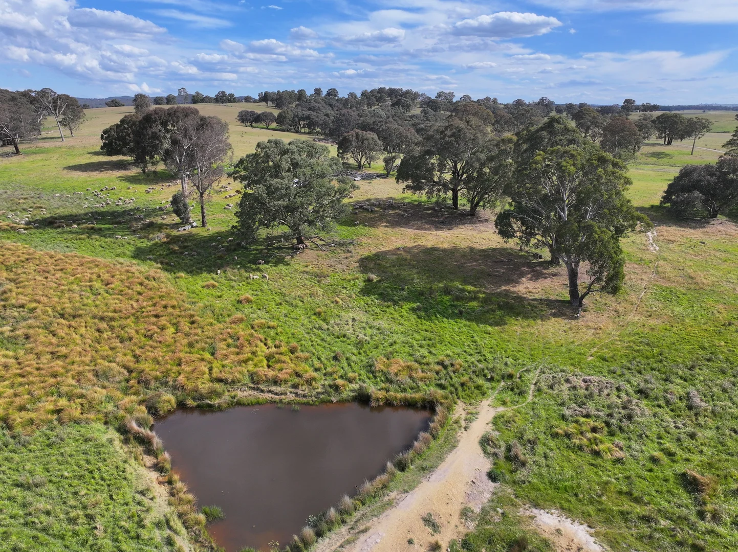 Additional image 6 of 680 Kangaloolah Road, Binda NSW 2583