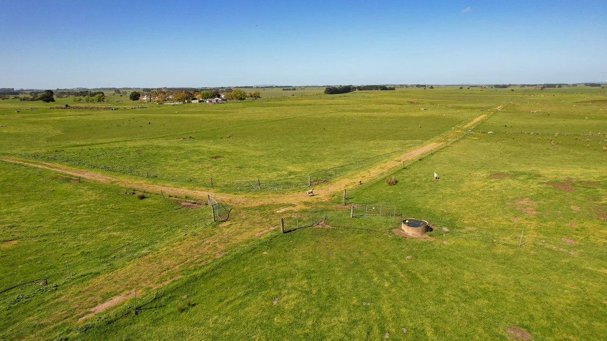 Additional image 23 of 170 Allans Road, Framlingham VIC 3265