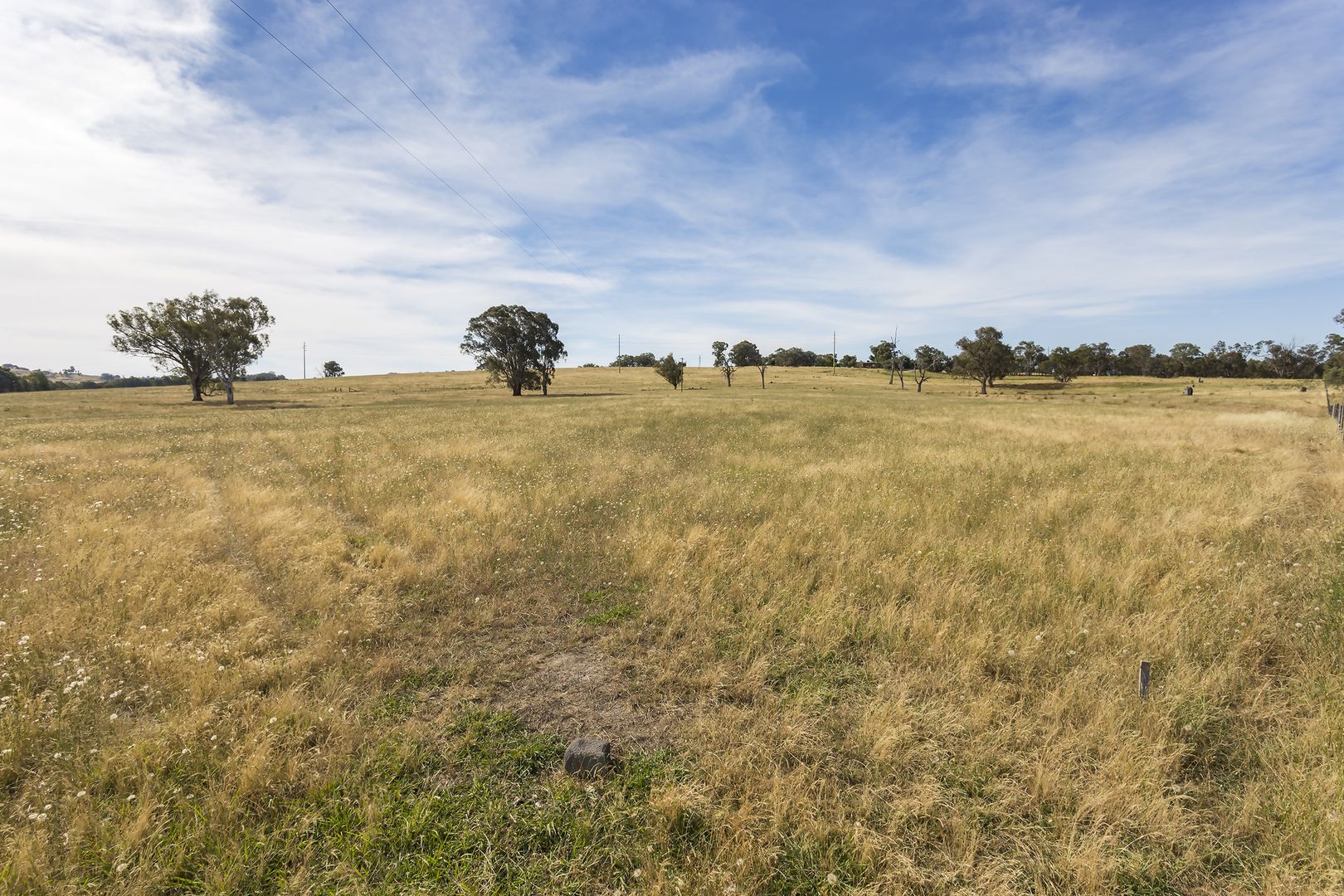 Lot 81 Wignell Road, Thurgoona NSW 2640, Image 2